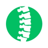 Chiropractic Care Icon